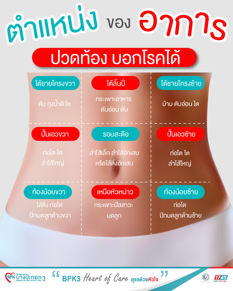 ตำแหน่งของอาการปวดท้อง บอกโรคได้, image size:960x1200